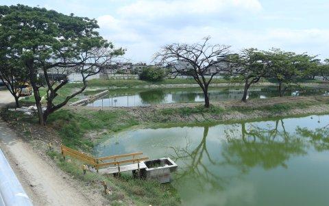 La fetidez se percibe en ciudadelas del norte y hasta de La Puntilla y La Aurora.