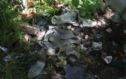 Paisaje. Los espacios naturales contrastan con la basura que se acumula en diferentes sectores del área verde.