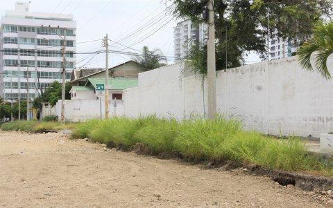 La maleza crece a los constados de la vía llena de piedras en la calle Cuarta.