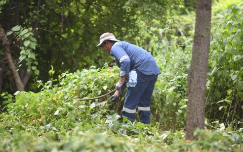 En los espacios se cortó la maleza y se limpió las camineras que permiten recorrer el área.