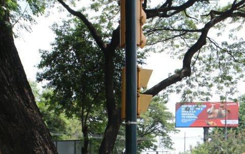 Falta de planificación. En la Carlos Julio Arosemena, en Guayaquil, hay tramos donde las aceras son angostas y aún así en ellas hay mobiliario urbano que obstaculiza el paso. Por allí no cabe una silla de ruedas, por ejemplo.