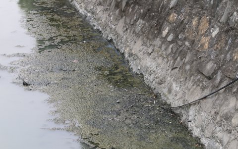 El agua es color verde y se evidencia el mal estado en las paredes del canal
