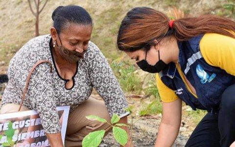 La siembra de 20.000 árboles empezó en La Libertad