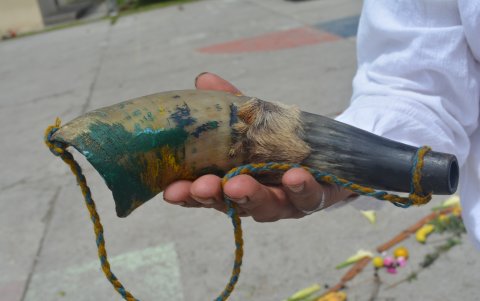 Con diseños. Los indígenas adornaban los cuernos según sus gustos y tradiciones.