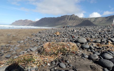 Imagen de archivo de microplásticos en una playa de (Lanzarote).