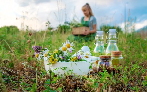 En su hogar, disponga de un espacio para sintonizar con la tierra que actúan como una barrera que impide el paso de malas vibraciones.