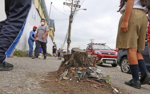 Este es el resultado de una de las últimas talas de la ciudad.