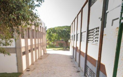 Rutina. Walter Orthmann ingresa a la sede de la empresa RenauxView, en cuyas oficinas ha pasado 84 años de sus 100 años de vida.