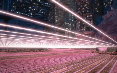 Fotograma de Liam Young Planet City, que puede verse en 