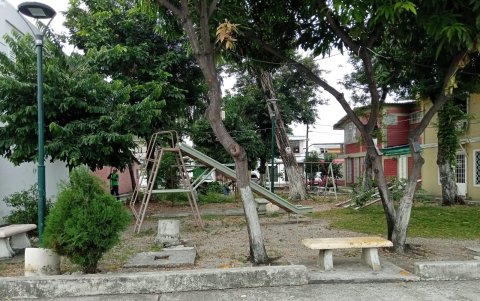 Zonas del parque fueron podadas, pero se espera más arreglos