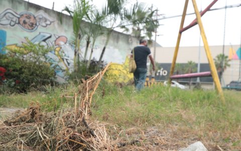 En la etapa décima tercera de la Alborada, a la altura de la avenida Francisco de Orellana, hay un área que ha dejado de ser verde para convertirse en un peligro para sus vecinos.