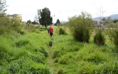 Parque Los Tubos. El área está botada y en ella se refugian los consumidores y delincuentes.