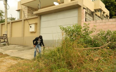 Maleza. Las viviendas de La Victoria, Bellavista y Marbella están rodeadas de maleza que supera hasta los dos metros de altura.