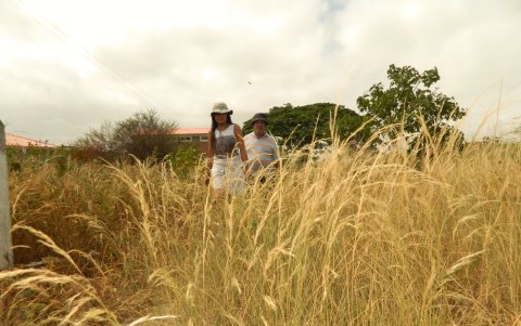 En La Victoria, así permanecen las calles y el entorno.