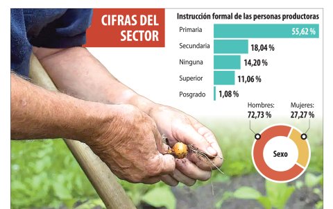 El perfil de quienes trabajan en este sector.