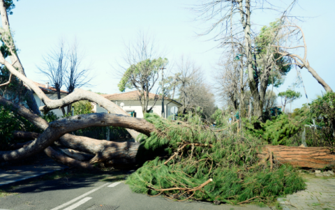 Referencial de huracanes, que están afectando a muchas parte del planeta.