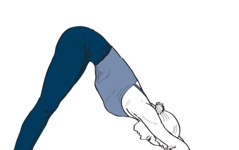 Adho Mukha Svanasana o ‘perro mirando abajo’