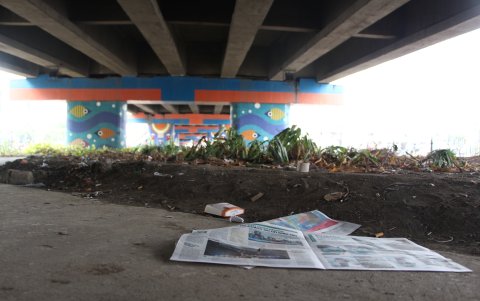 Jardineras.    El descuido también se observa en jardineras construidas debajo de los puentes, como el de la Plaza, en Kennedy Norte, lleno de basura y maloliente.