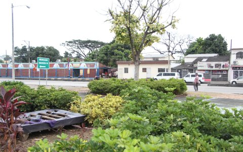 El redondel donde se levanta el monumento a Pablo Baquerizo Nazur sirve hasta de dormitorio. En el sitio se ha instalado una cama vieja.