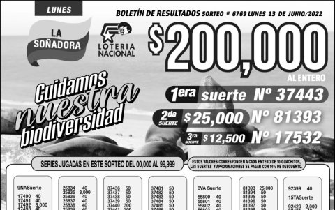 6769 13 DE JUNIO