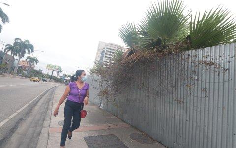 Peatones. Otra situación también observan peatones o clientes de los establecimientos cercanos que se tropiezan con las ramas que sobresalen del cerco.