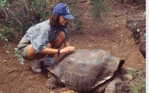 La joven suiza Sveva Grigioni tuvo más de 30 sesiones de estimulación sexual al Solitario George.CORTESÍA DOCUMENTO 'LA HISTORIA DEL SOLITARIO GEORGE. ¿A DÓNDE NOS DIRIGIMOS?’