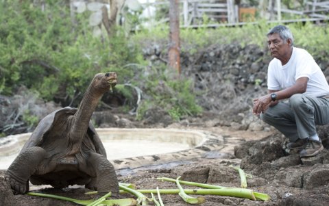 Fausto Llerena fue el cuidador del Solitario George desde el día de su descubrimiento hasta la muerte del animal. Luego de eso, él se retiró