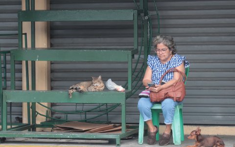 Situación.- No todos los locales del mercado de flores, en Guayaquil, están abiertos. Algunos han cerrado por la escasez de flores.