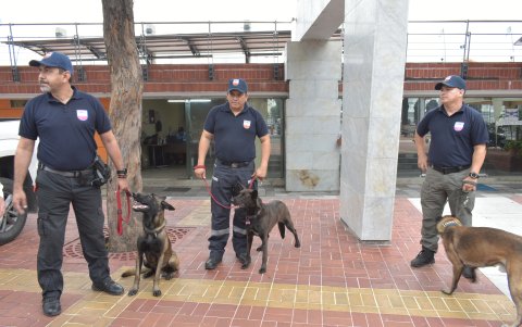 La fuerza canina también se sumó al resguardo en los malecones de la ciudad.