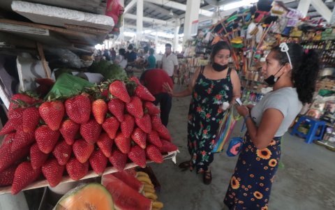 Mercado.- Durante los 18 días del paro en Guayaquil no se encontraba frutilla, pero ayer se vendió la libra a 1 dólar.