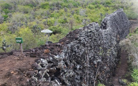 Vista panorámica del Muro de las Lágrimas en la isla Isabela, provincia de Galápagos.