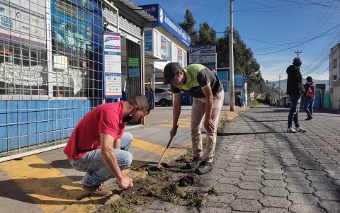 Empleados de una mecánica cercana al centro de revisión vehicular sacan la maleza de las veredas