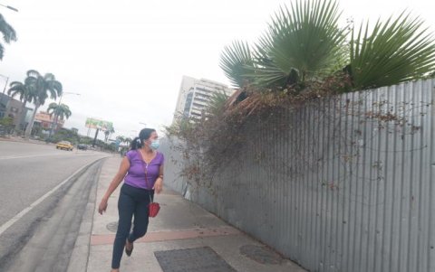 En algunas zonas, la maleza se sale hasta la vereda