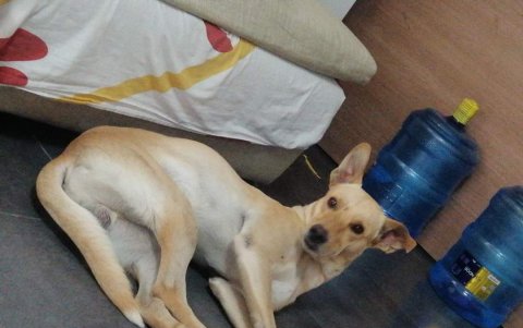 La familia de River lleva desde marzo del presente año sin verlo