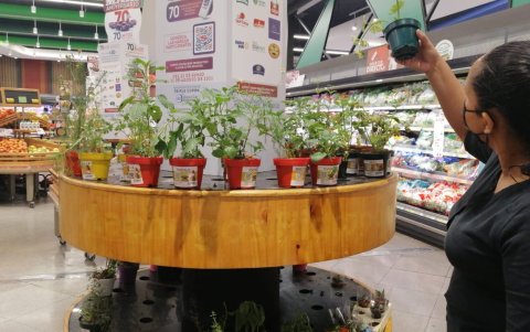 La oferta de planta comestibles también crece en supermercados de la ciudad.