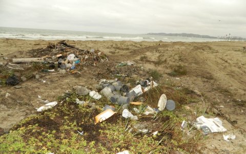 Data de Villamil es la zona más contaminada con los desechos que se arrojan al mar.
