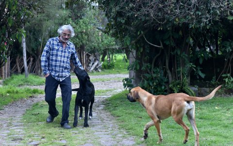 Durante una caminata por su hacienda lo acompañan sus dos perros.