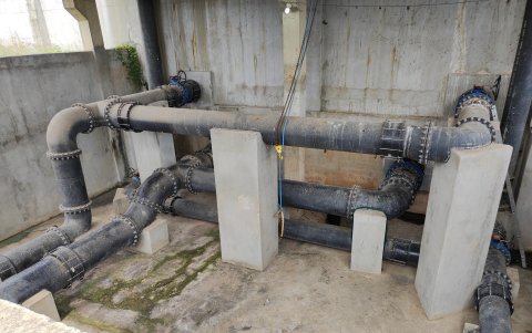 El sitio está lleno de moho, maleza y hasta decenas de colmenas de abejas que cuelgan desde la losa. Alrededor hay mucha maleza y se llega al sitio por caminos polvorientos.