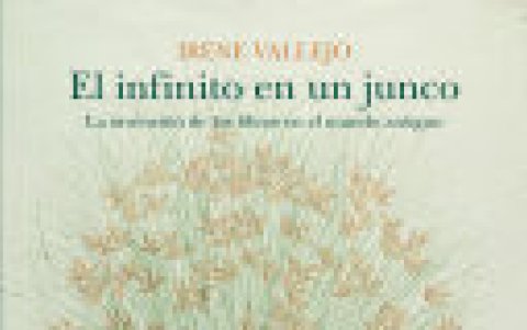 Portada del libro 'El infinito en un junco'