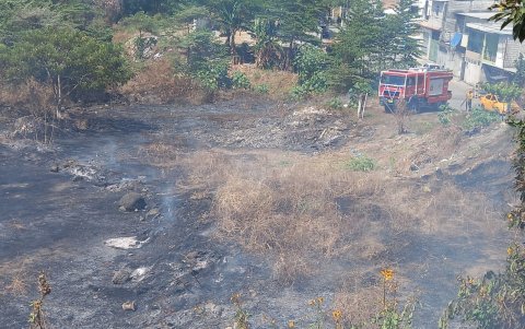 El fuego consumió basura, maleza y algo de vegetación