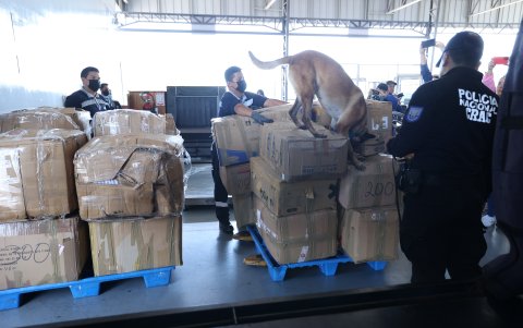 Viaje. Momentos previos al embarque de las botellas en el Avión Solidario.