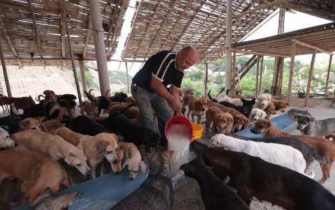 El día en el Santuario Canino arranca a las 06:00 con la limpieza y alimentación de los 248 animales que consumen entre 3 a 4 quintales de pepas por día.