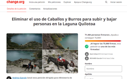 La campaña en contra del uso como medio de transporte de las mulas y caballos, ha recogido más de 71mil firmas