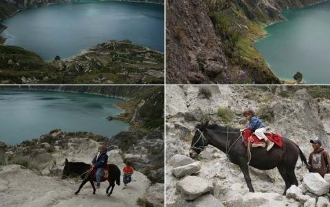 Referencia del uso de mulas y caballos