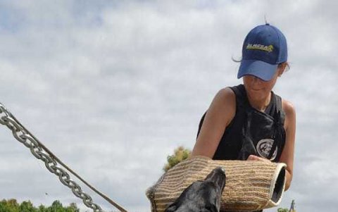 Para Melissa, adoptar es una tarea maravillosa, pues considera una oportunidad de vida para cualquier mascota.