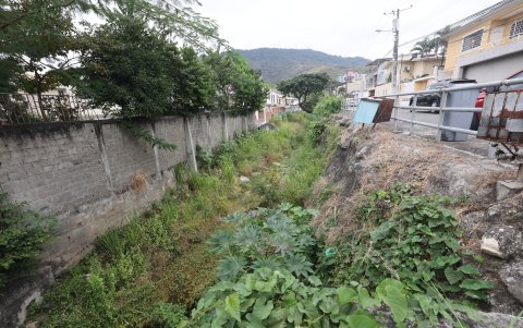 2 Desaseo . Llenos de basura, monte y hasta animales muertos se observa lo que a veces funciona como zanja en Ceibos