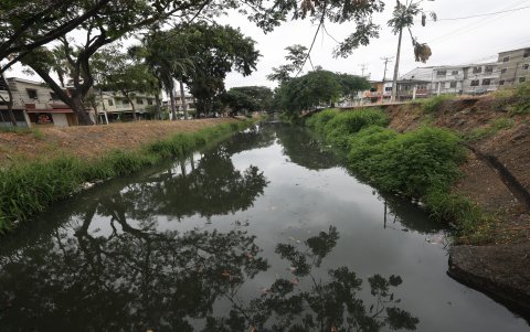 Suciedad. El agua estancada en Urdenor toma un color verde producto de todos los desechos que son depositados.