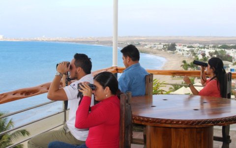 Los que no se aventuran al paseo en bote, pueden ver a las ballenas en los miradores.