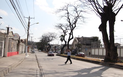La calle Dr. Francisco Rizzo, entre las avenidas Isidro Ayora y Francisco de Orellana, que colinda con ambas ciudadelas del norte, es un escenario igual de tétrico.