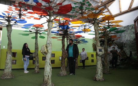 Interacción. En actividades que se desarrollan en museos, los padres también son parte del aprendizaje que reciben los más pequeños. Las exposiciones son lúdicas y creativas.